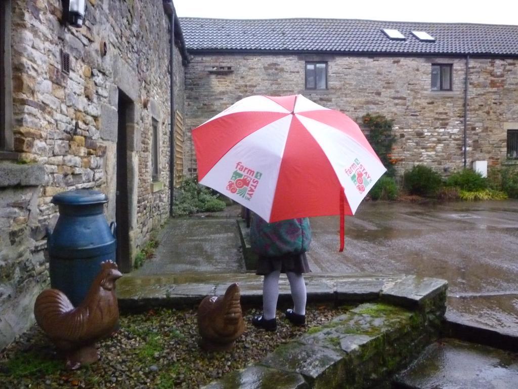 Bed and Breakfast Rye Hill Farm à Hexham Extérieur photo