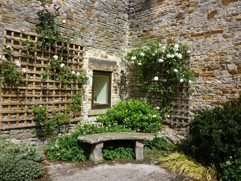 Bed and Breakfast Rye Hill Farm à Hexham Extérieur photo