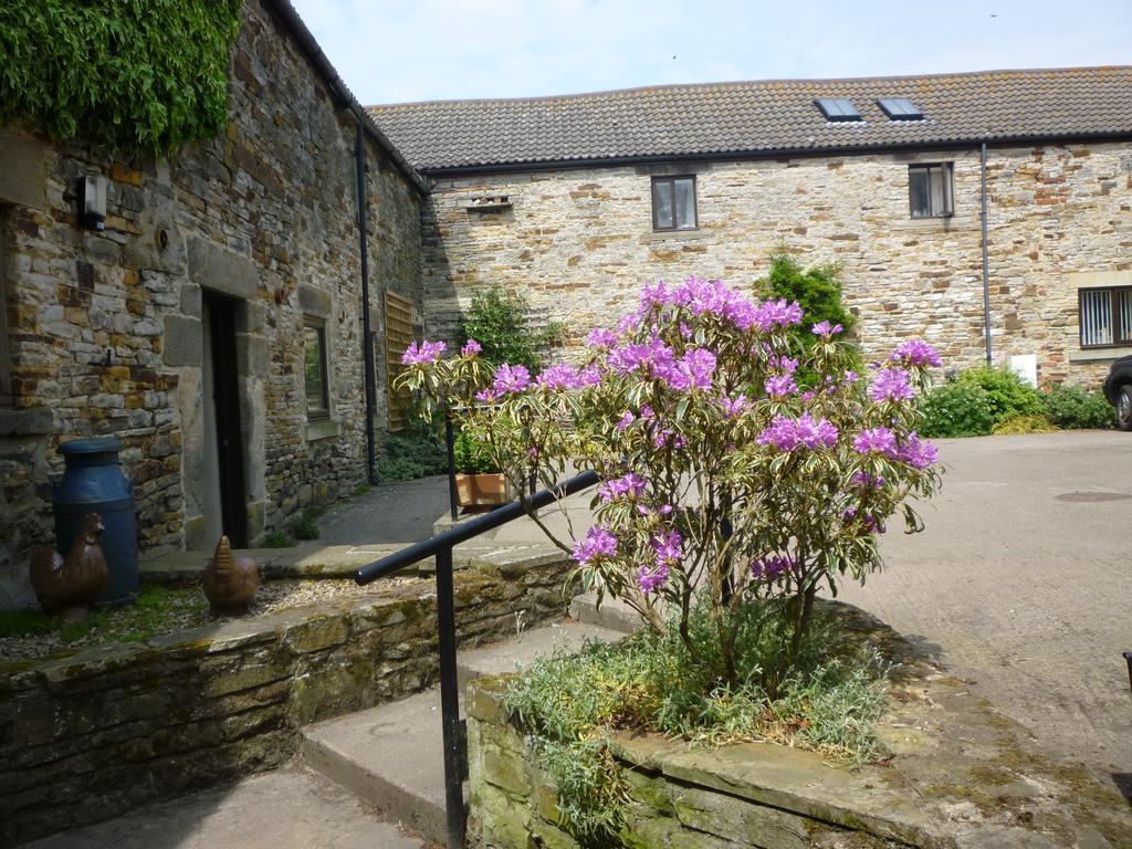 Bed and Breakfast Rye Hill Farm à Hexham Extérieur photo