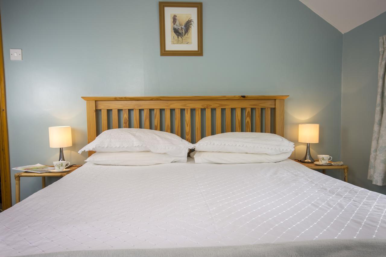 Bed and Breakfast Rye Hill Farm à Hexham Extérieur photo