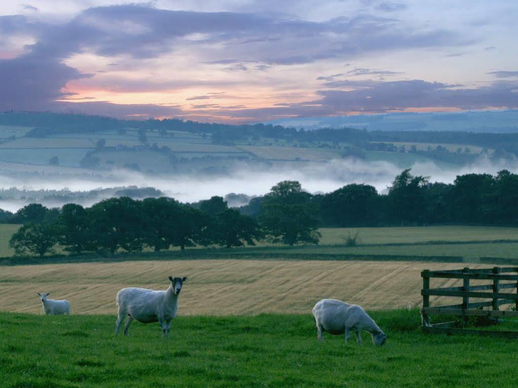 Bed and Breakfast Rye Hill Farm à Hexham Extérieur photo